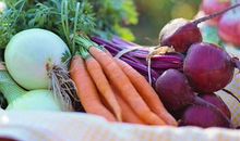 金九银十，12生肖在哪方面有所收获