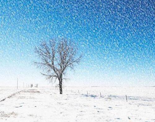 梦见大雪预兆有机会旅行，雪花纷飞则是不幸事情的征兆