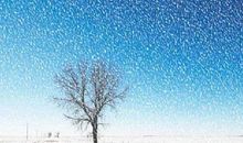 梦见大雪预兆有机会旅行，雪花纷飞则是不幸事情的征兆