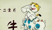 属牛人的婚姻与命运，属牛人为最佳伴侣