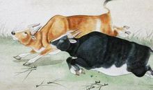 老一辈人常说，夫妻是此生肖搭配最投缘，生活富裕福长久！