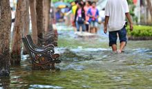 梦见水灾不要慌，是兴旺之兆