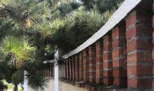 晨霁2019年11月份天蝎座星座运势：各种关系