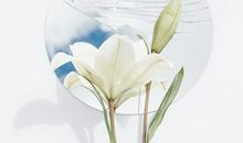 12星座一周感情预测(10.20-10.26)