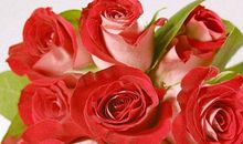 11月财神附体，贵人撑腰，大财不断，横财入门，富贵盈门的生肖