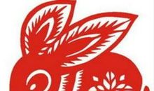 2019年属兔的运势 今年整体运势顺风顺水