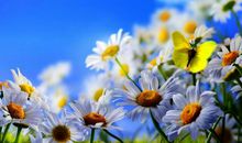 未来一周，希望徐徐上升，生活如登春台的星座