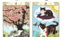 连娜塔罗牌占卜：抽一张牌，揭秘你在伴侣的心中地位如何？