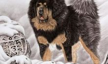 2020年感受不到穷滋味的3生肖，从年头富到年尾，生意日日红