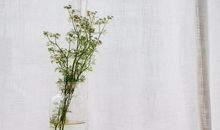 唐绮阳/唐立淇今日运势2019年10月28日