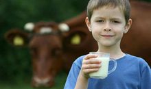 梦见喝牛奶朋友运很好，这样做还可以提升工作运