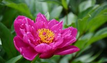 天生是“直男”的三生肖男，经常惹恋人生气，吵架冷战不间断