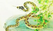 11月别发愁了！双十一有一场大运的4大生肖，富得大红大紫！