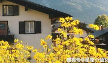 不爱你，却不直说的星座，除了冷漠，就是冷战！