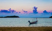 11月下旬有大喜，运势大好，身价倍涨，贵人八方来的三生肖