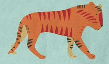 10月25日运势佳的五生肖！