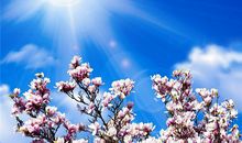 1952年的生肖何时好运(图文)