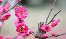 未来两个月，压力爆棚，生活忙乱，工作波折不断的三大星座