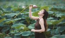 六月出生属鼠人的命运(图文)