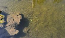 晨霁2019年11月份处女座星座运势：最后的无奈