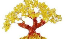 10月28日起，拥有好人缘，事业进展顺利，大业有成的三生肖