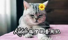 看星星的Kiddo一周塔罗运势（10.21-10.27）