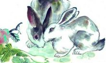 属兔和什么属相配比较好，与兔白头偕老的生肖有哪些