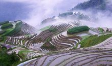 特大好消息！11月下旬有大喜，事业高升，大财旺到爆的3属相