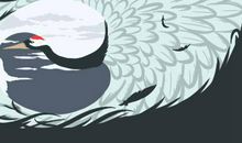 美容院招财风水 什么物件招财