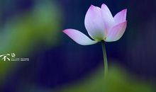 备好麻袋装钞票的三属相，下半年，足“踏”聚宝盆，钱财翻倍