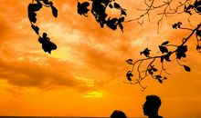 塔罗测试你嫁不出去的危险指数有多高？