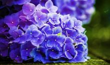 这3生肖女，太“爱财”了，眼里只有钱，面包比爱情重要！