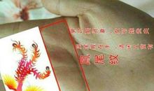 女人右手掌凤尾纹手相，感情事业双丰收