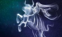 摩羯座和什么座最配，和金牛是绝配