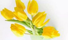 11月财运加身，天赐吉祥，无灾无难，事业高升的四个生肖