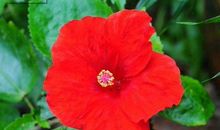 11月中旬横财大运加身，好日子不断的生肖，大赚钱财，财气逼人