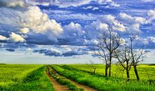 11月福泽，喜鹊入门，福运入宅，桃花傍身，福缘深厚，好运连年