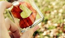 生肖蛇总是在爱情中犯什么错，生肖蛇在爱情里易犯的错高冷