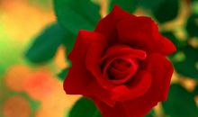 9月起运势飙升，福气满满，财运节节攀升，财源滚滚来的3大生肖