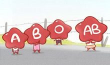 四大血型君的本质是什么