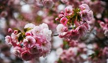 本周过后喜气盈门，好运身边绕，贵人扶持，轻松赚大钱的3大生肖