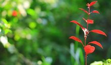 9月起紫气东来，事业扶摇直上，运势如虹，闷声发大财的3大生肖