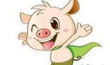 生肖猪的年份 不同年份的生肖猪2019年运势解析