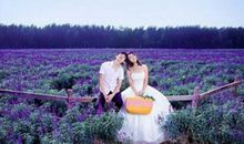 巨蟹座和什么座最配，和双鱼座珠联璧合