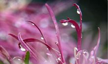 10月得罪不起，11月大大好消息，3生肖，双喜临门、金银滚滚，喜事不请自来