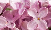 恭喜，10月大大好消息！3生肖天上掉财、地上生金，大喜从天降，一旺到年底