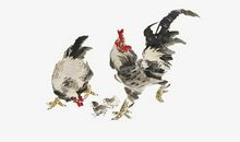 玄清风水命理：生肖中未来3年大运加持，财禄入命，富贵有余的生肖！