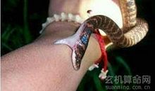 梦见蛇咬自己是不祥之兆，意味着在路上有可能会被人骚扰