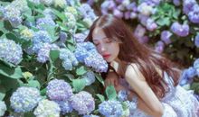 2019年起，生活富足，越来越好的生肖