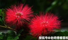 11月开始财运爆棚，富贵盈门，财源茂盛，万事皆大吉的四属相